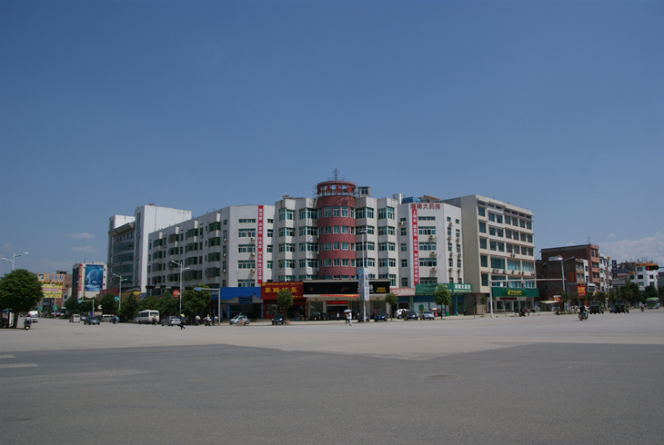 武強縣2019年“氣代煤”工程燃氣壁掛爐采購入圍項目