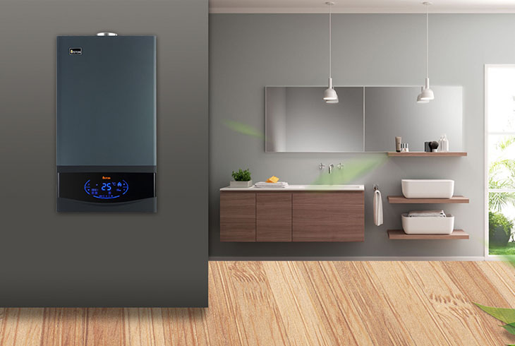 燃?xì)獗趻鞝t自檢